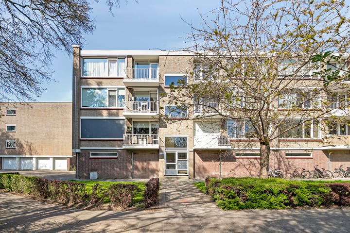 Foto 19 van Stuart Millpad 83