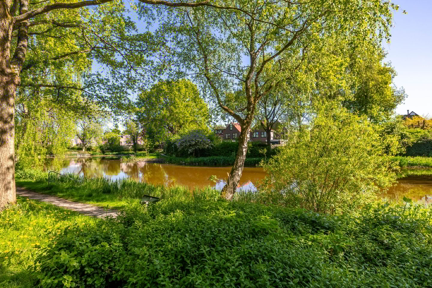 Photo 5 of Nijhofflaan 24