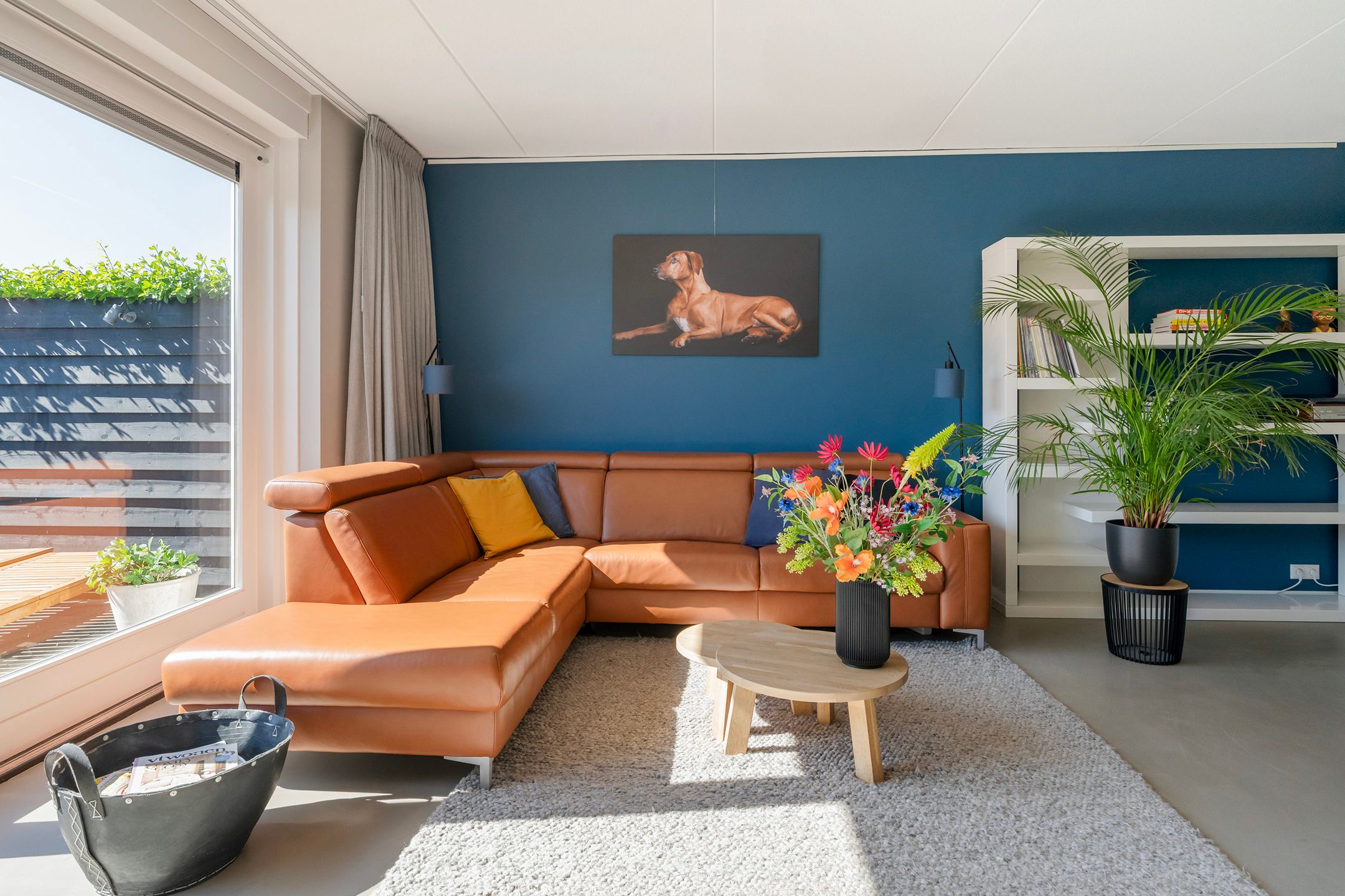 Photo 18 of Hoyteslân 96