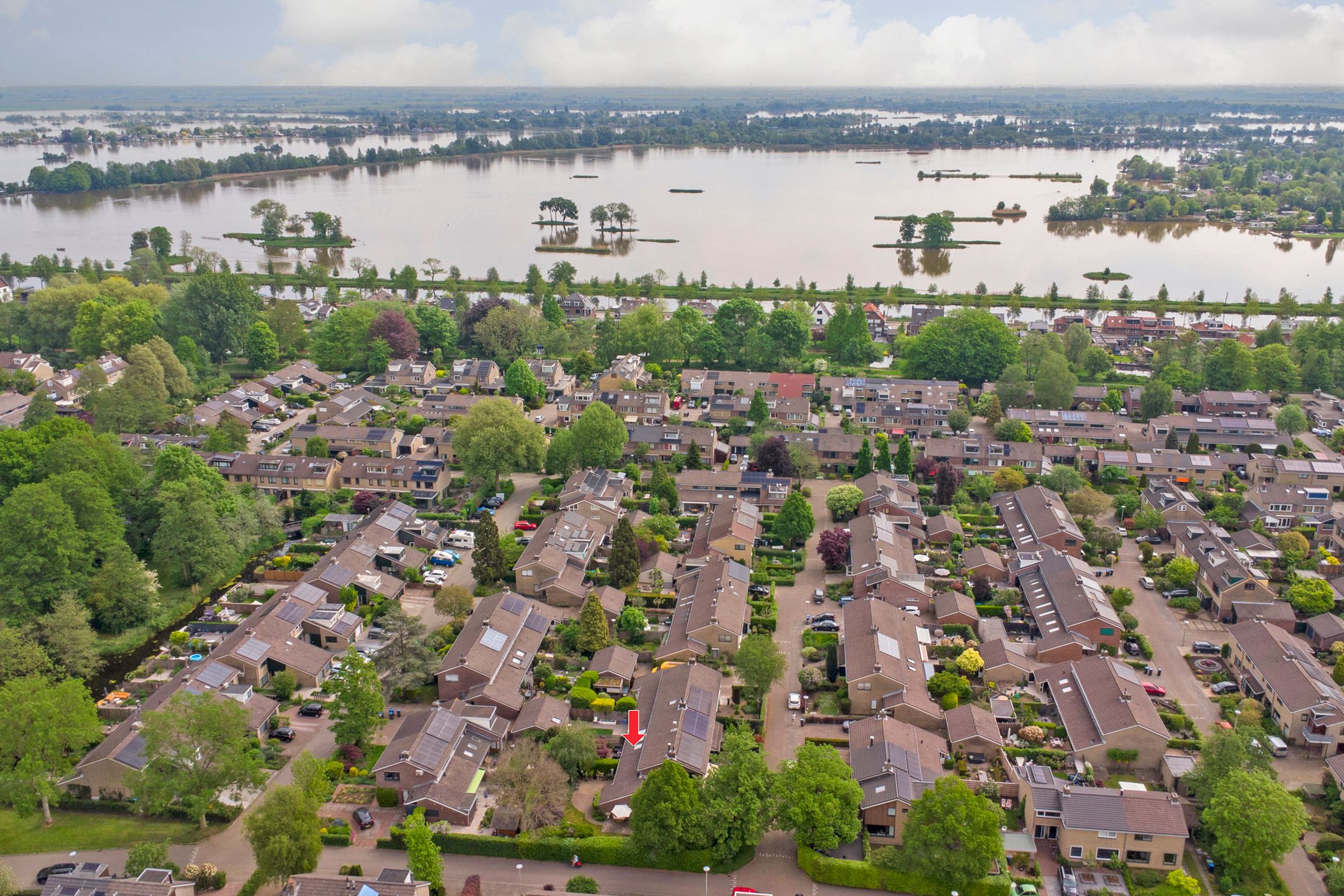 Foto 39 van Waterklaver 3