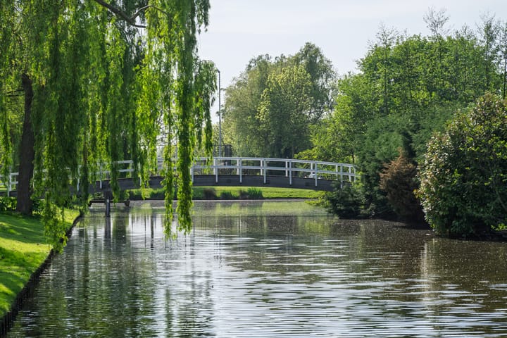 Foto 38 van Piet van de Polsingel 230