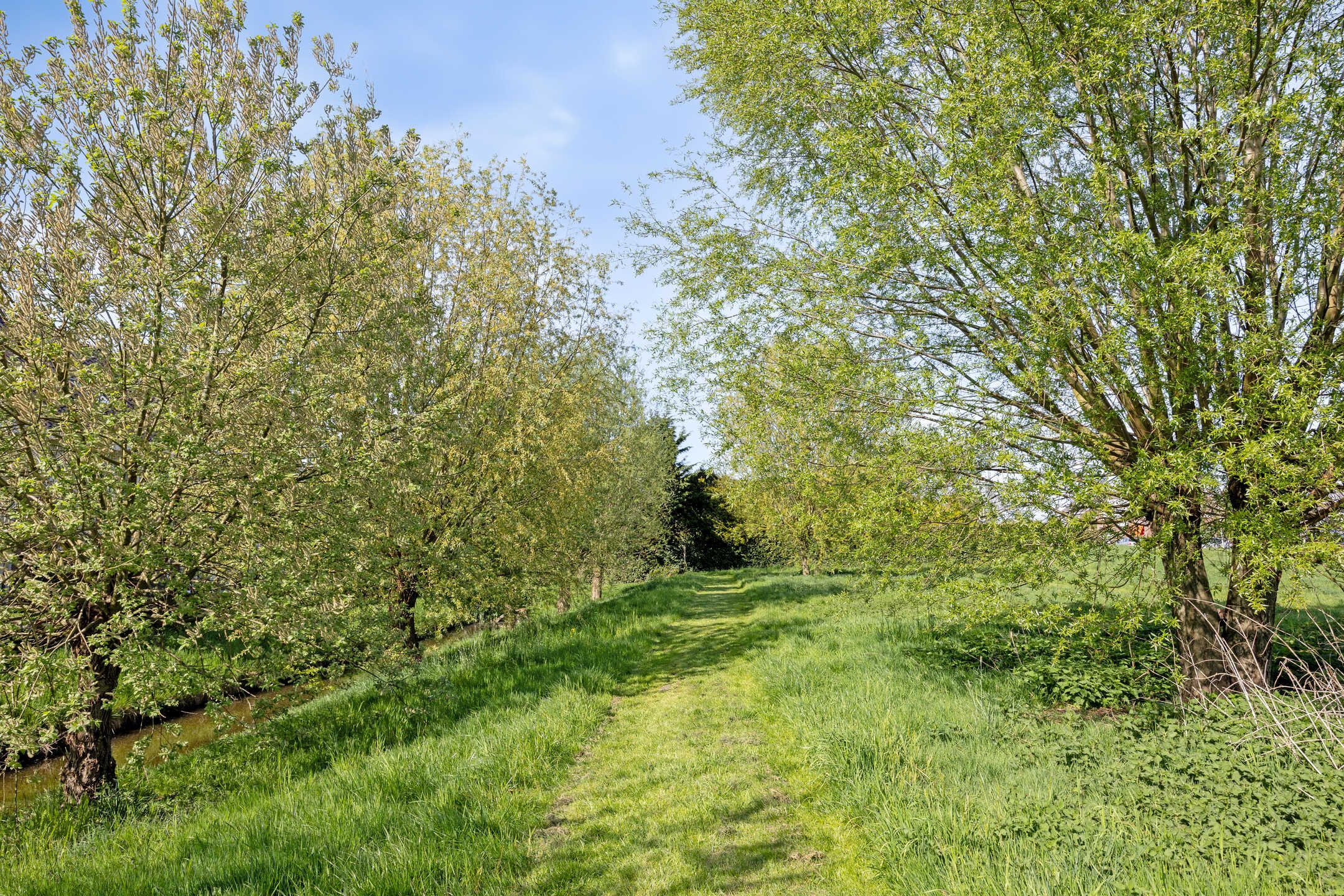 Foto 48 van Veersemeerstraat 21