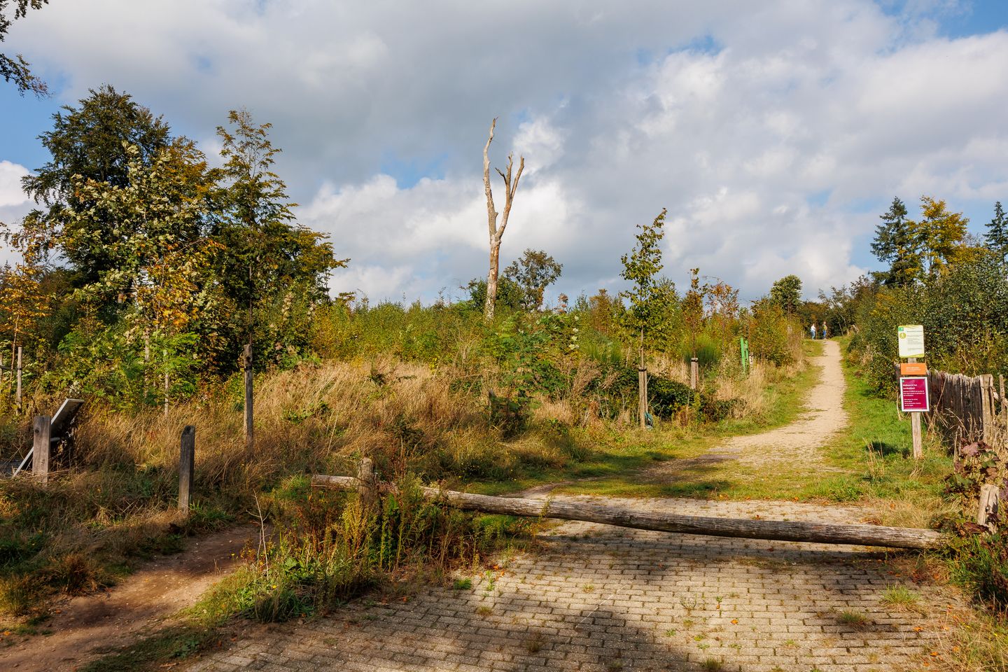 Foto 55 van Prinses-Beatrixlaan 26