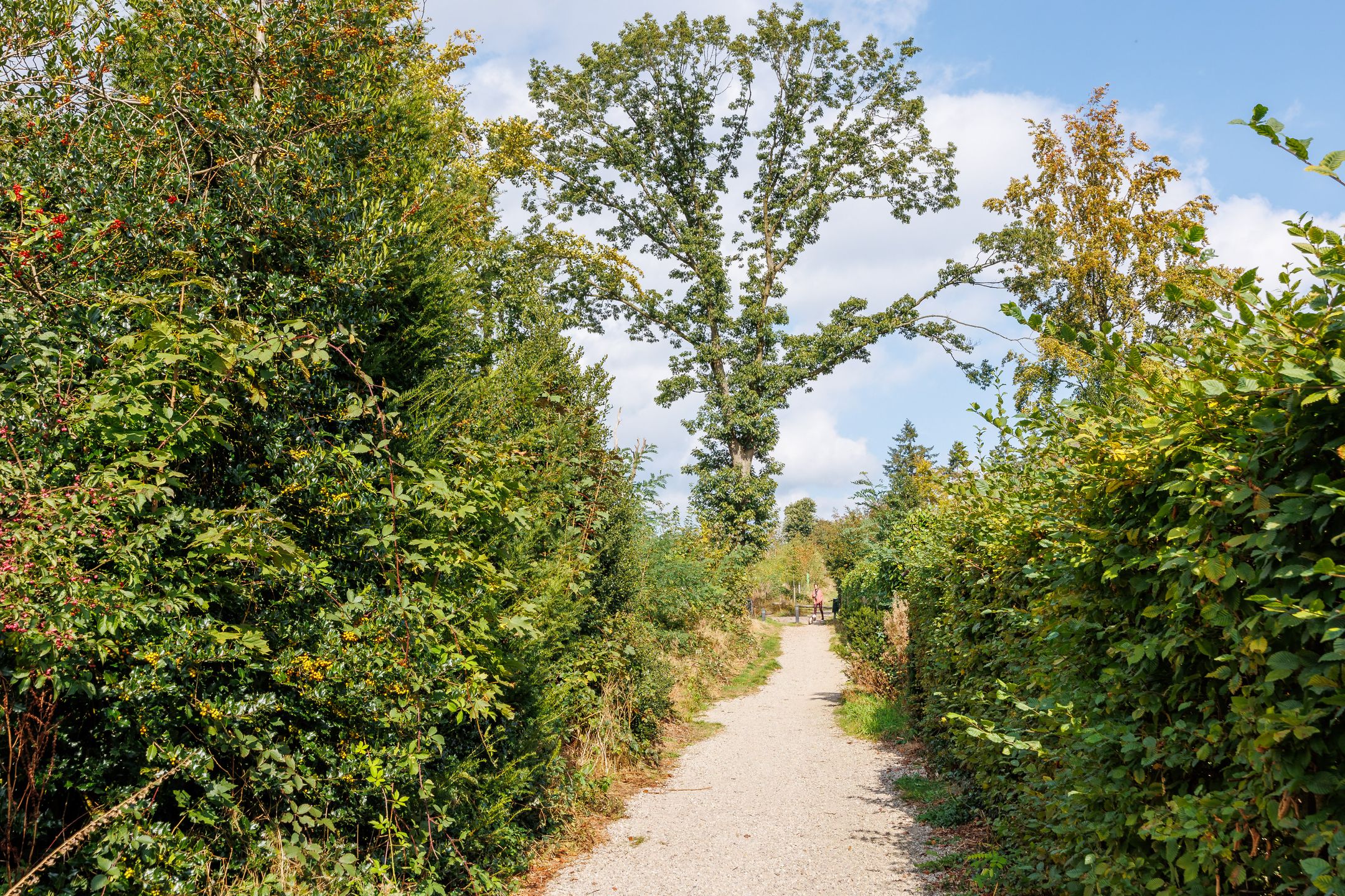 Foto 54 van Prinses-Beatrixlaan 26