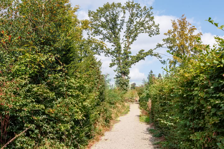 Foto 54 van Prinses-Beatrixlaan 26