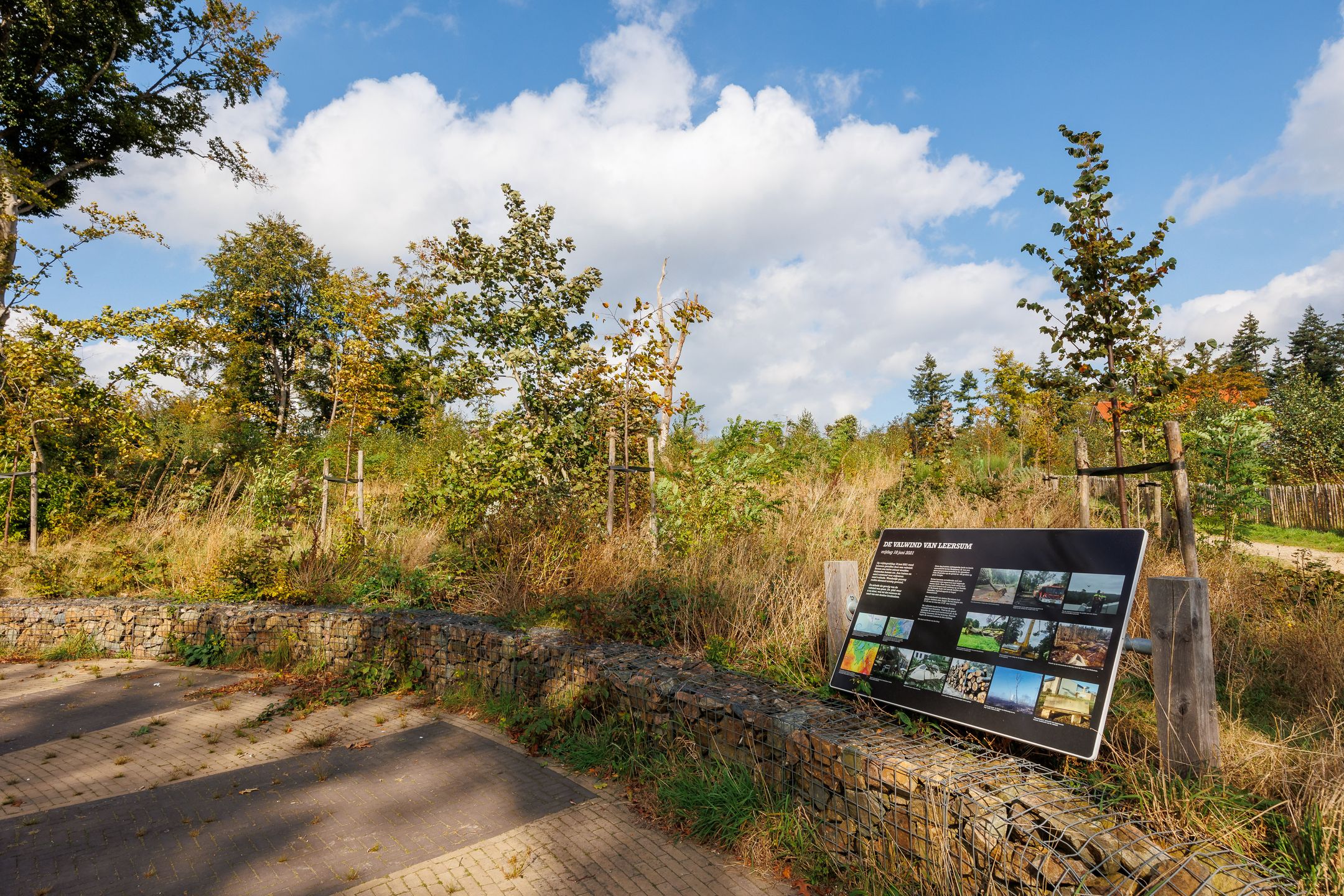 Foto 57 van Prinses-Beatrixlaan 26