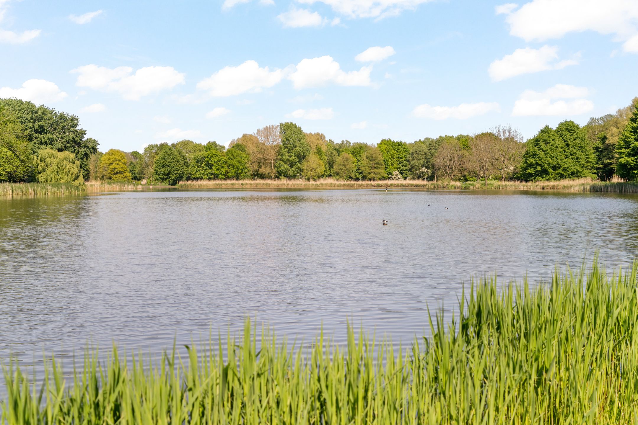 Foto 39 van Capelseweg 188