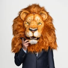 NederLeeuw - Directeur