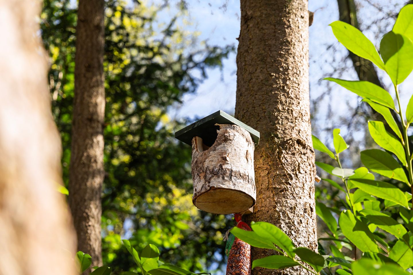 Foto 20 van Maarnse Bergweg 1-R77