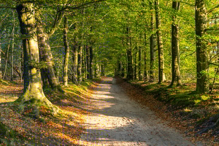 Photo 33 of Maarnse Bergweg 1-R77