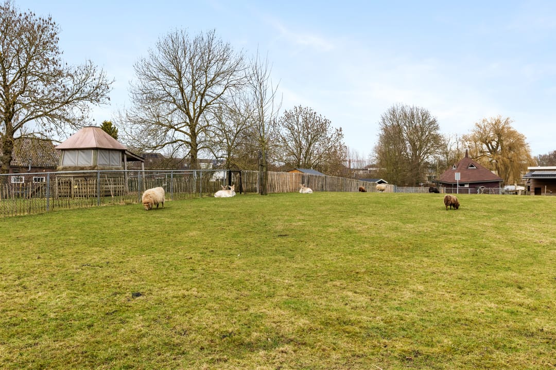 Foto 37 van Franciscanessenstraat 1