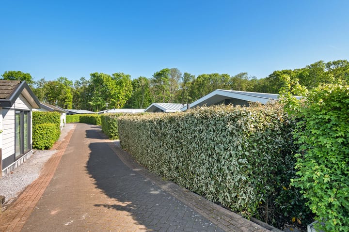 Photo 7 of Kapelleboslaan 41-295