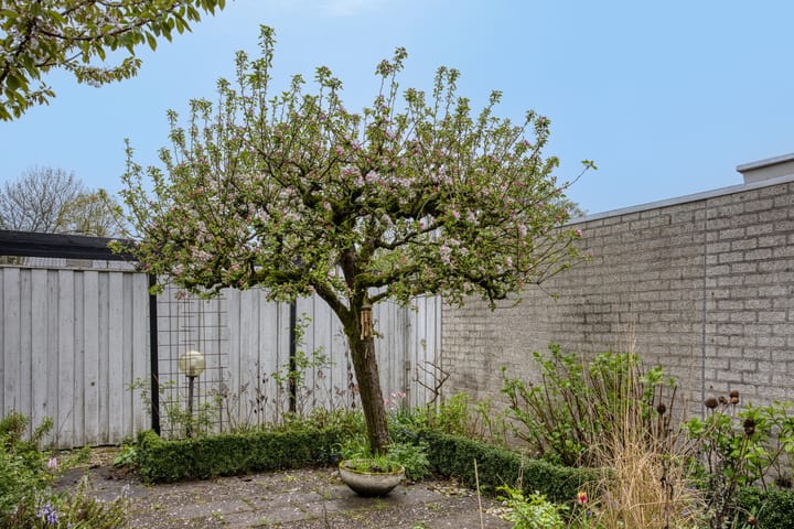 Foto 38 van Hamrik 21