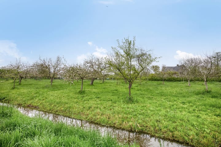 Foto 40 van Hamrik 21