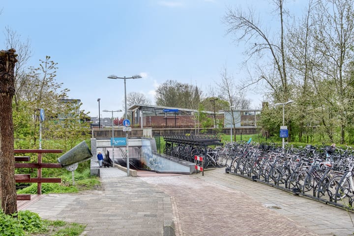 Foto 41 van Hamrik 21