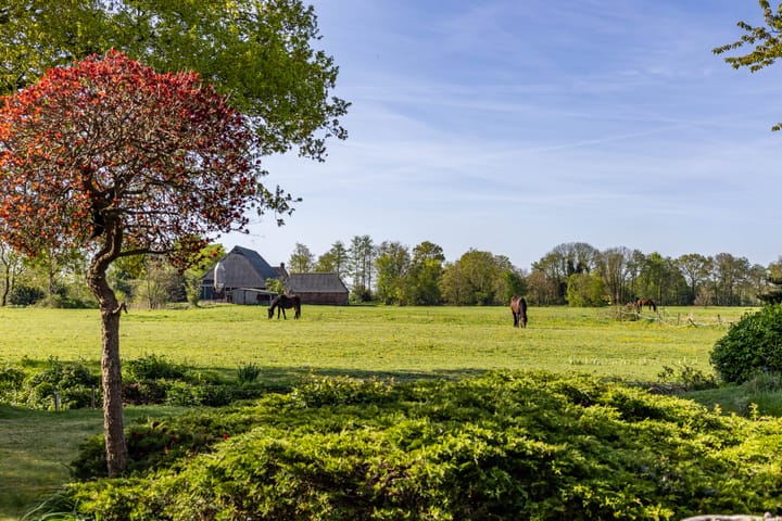 Foto 2 van Koaikamp 55