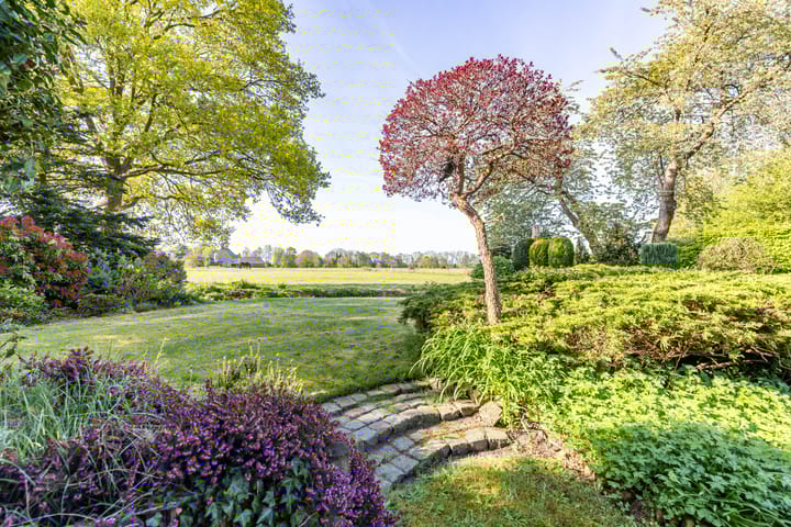 Foto 45 van Koaikamp 55