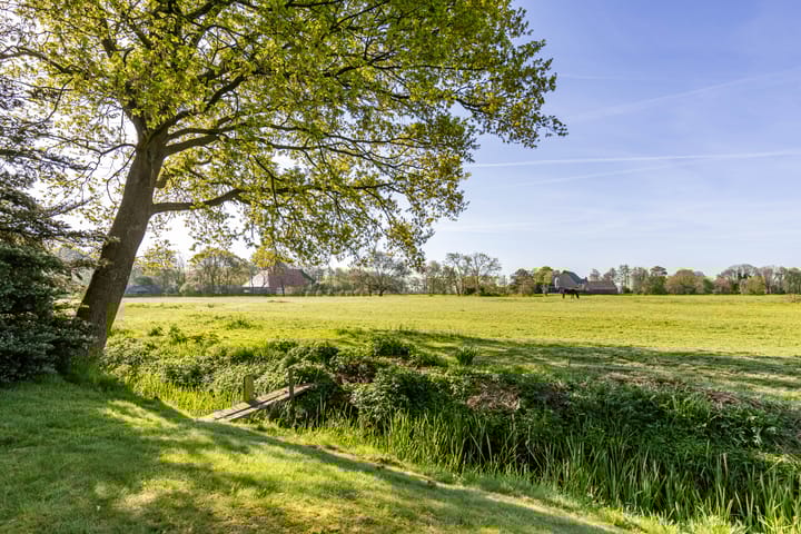 Foto 46 van Koaikamp 55