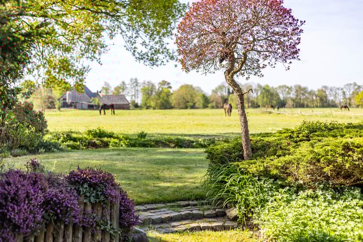 Foto 49 van Koaikamp 55