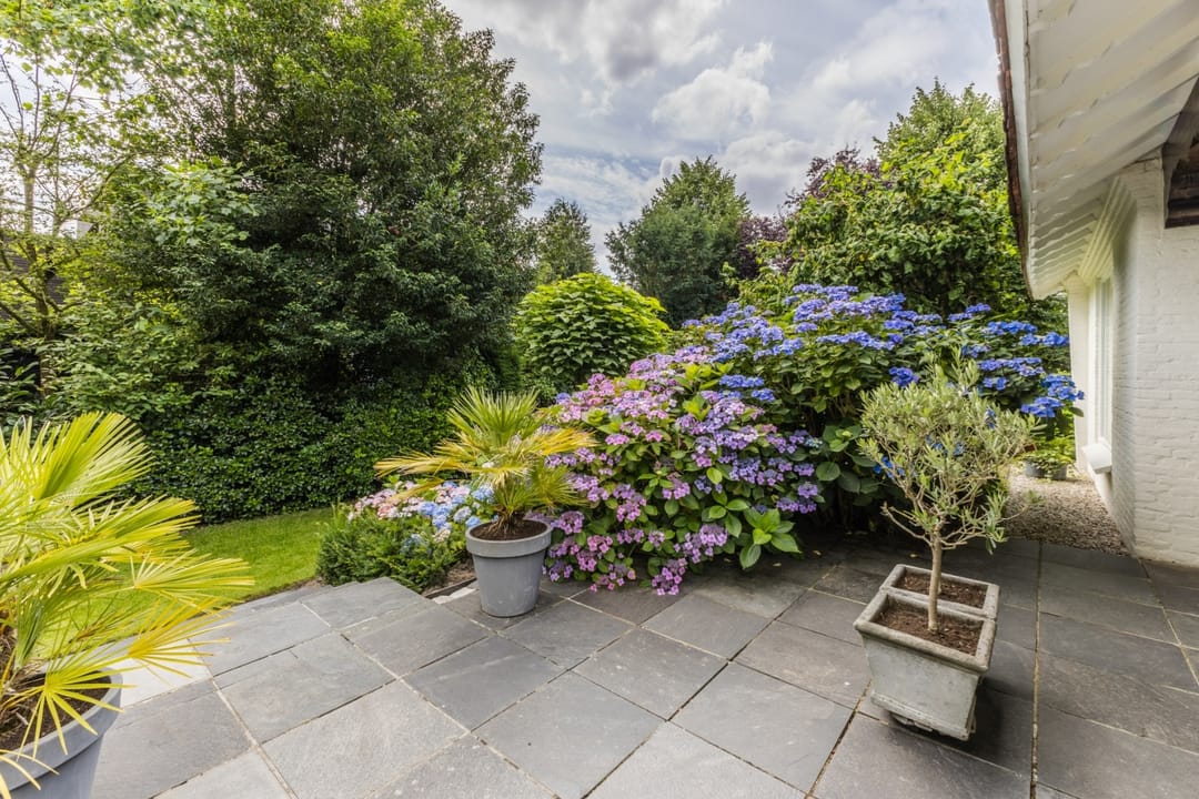 Foto 41 van Oranje Nassaulaan 8