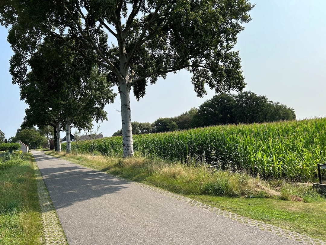 Foto 43 van Heikant 38