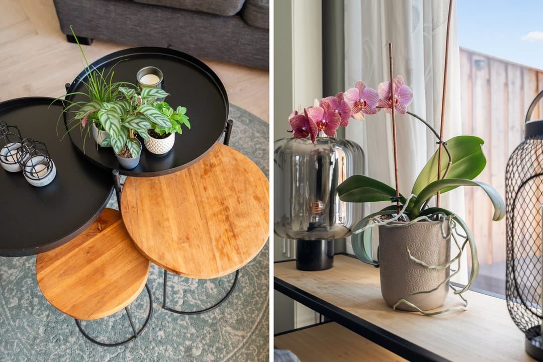 Foto 23 van Kubbeplantsoen 10