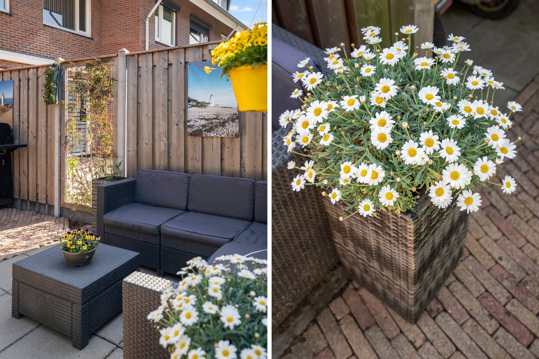 Foto 31 van Kubbeplantsoen 10