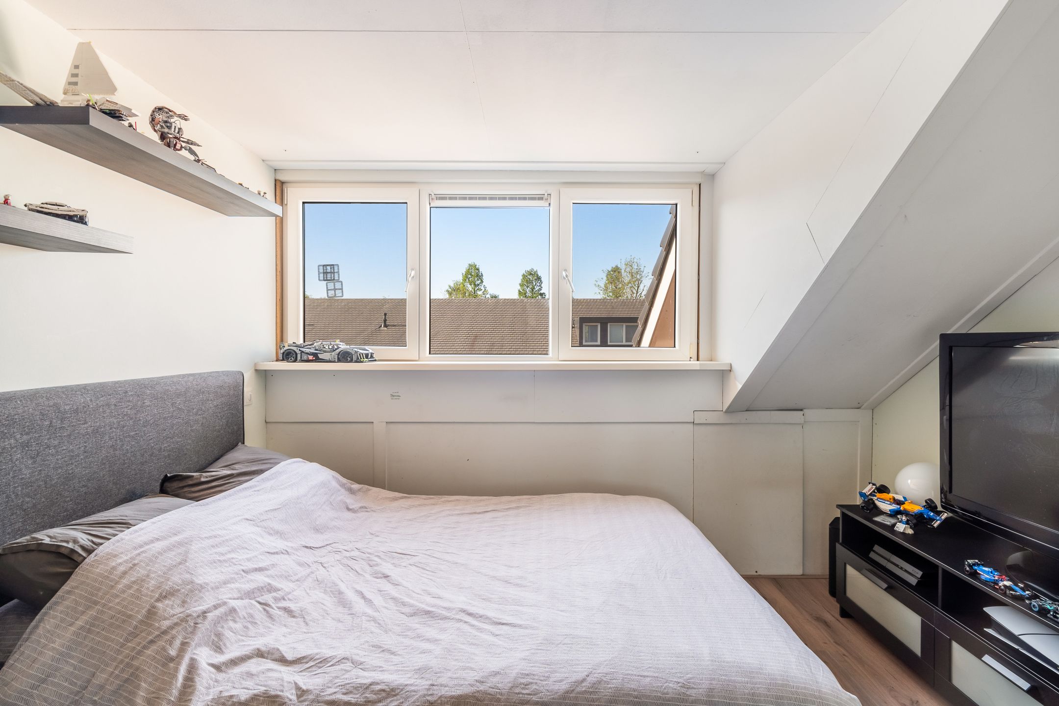 Foto 54 van Kubbeplantsoen 10