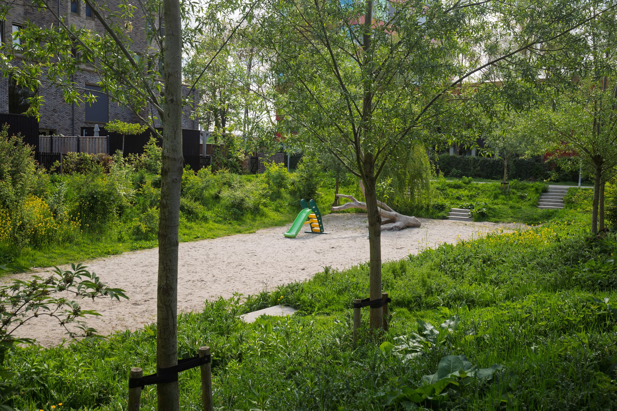 Photo 45 of Schorsmolenstraat 107