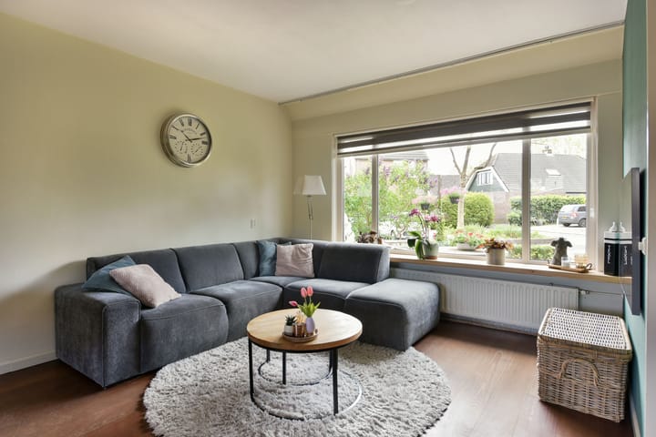 Foto 5 van Waterhoen 10