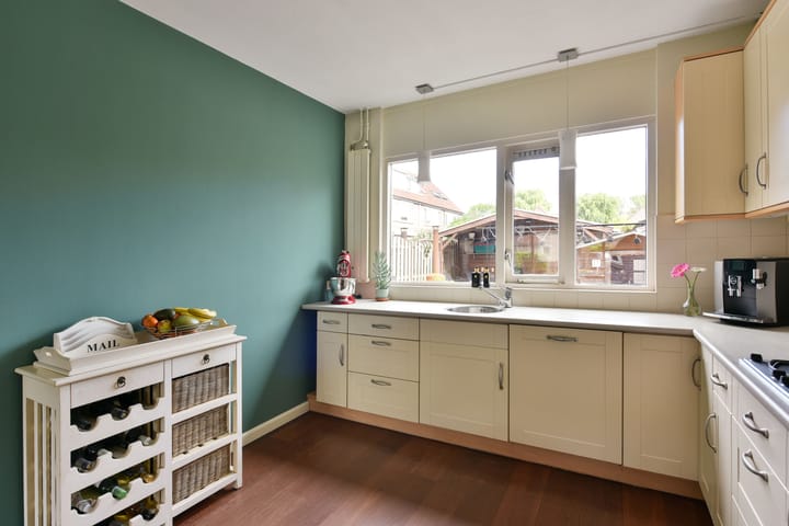 Foto 10 van Waterhoen 10