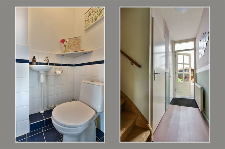 Foto 11 van Waterhoen 10