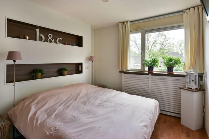 Foto 12 van Waterhoen 10