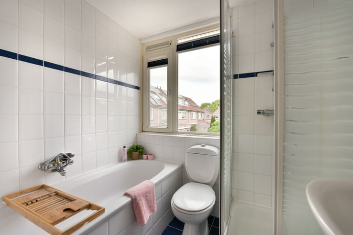 Foto 17 van Waterhoen 10