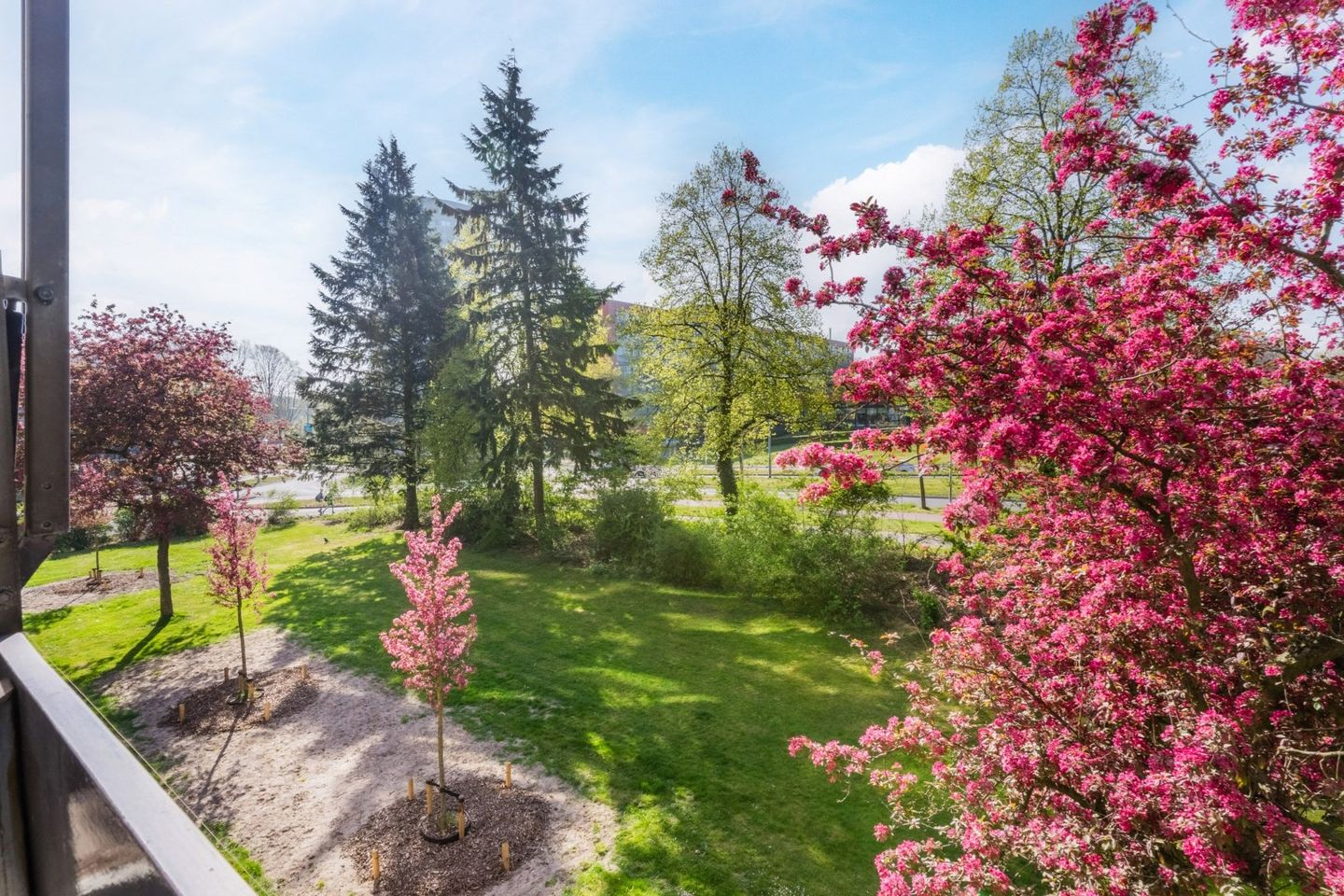 Foto 49 van Penelopestraat 51