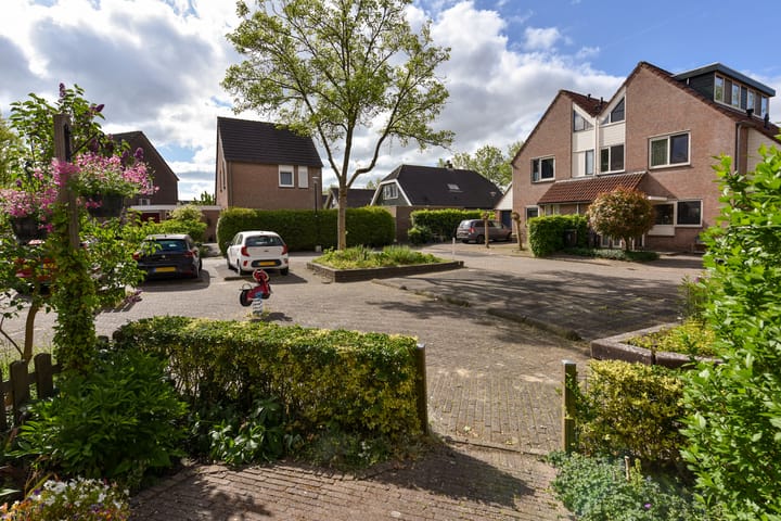 Foto 33 van Waterhoen 10