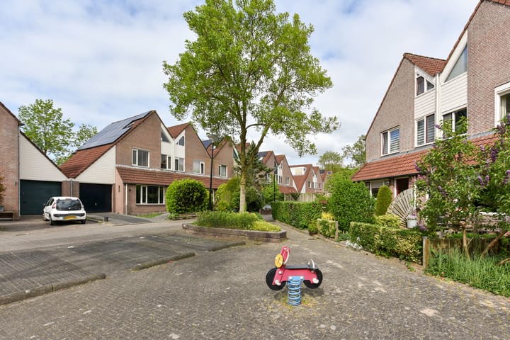 Foto 34 van Waterhoen 10