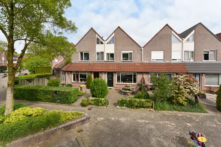 Foto 35 van Waterhoen 10