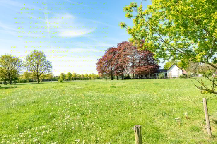 Foto 55 van Oranjeboomlaan 17