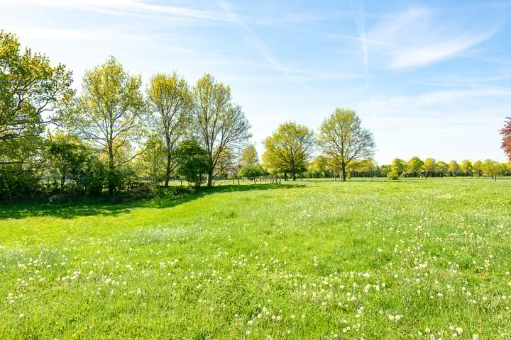 Foto 56 van Oranjeboomlaan 17