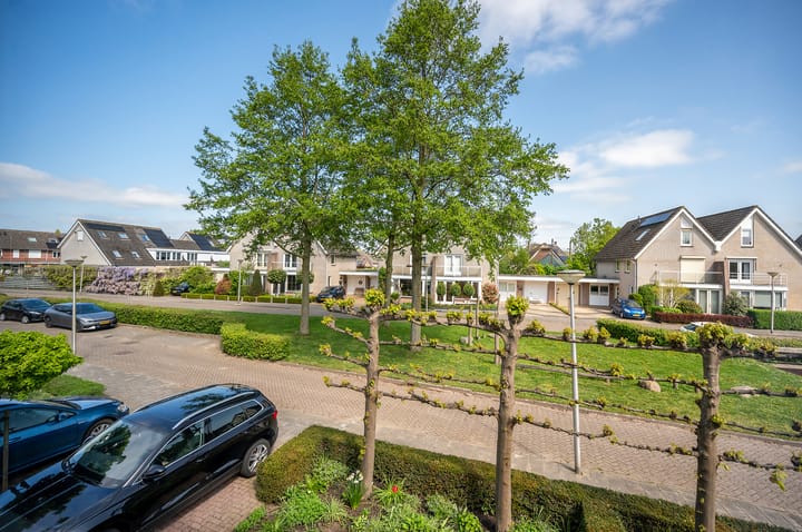 Photo 25 of De Werf 71