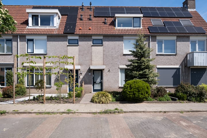 Paradijsvogel 58