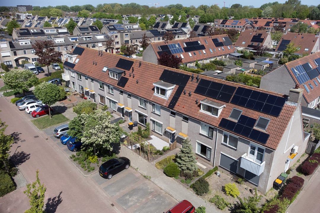 Foto 2 van Paradijsvogel 58