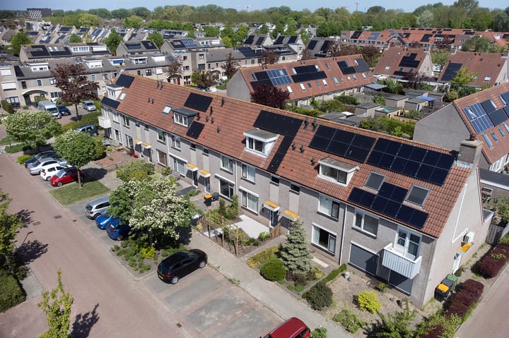 Foto 2 van Paradijsvogel 58