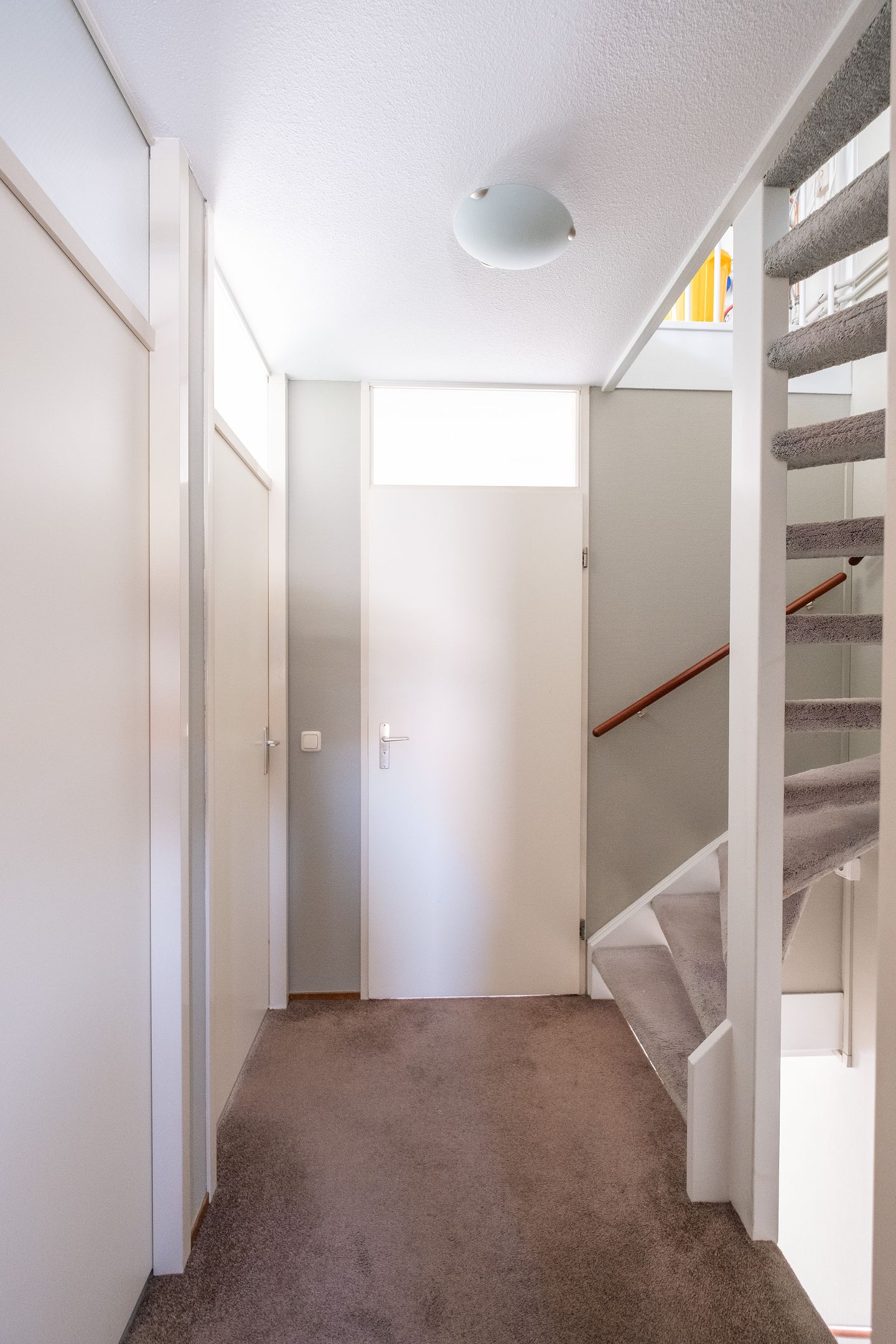 Foto 14 van Paradijsvogel 58