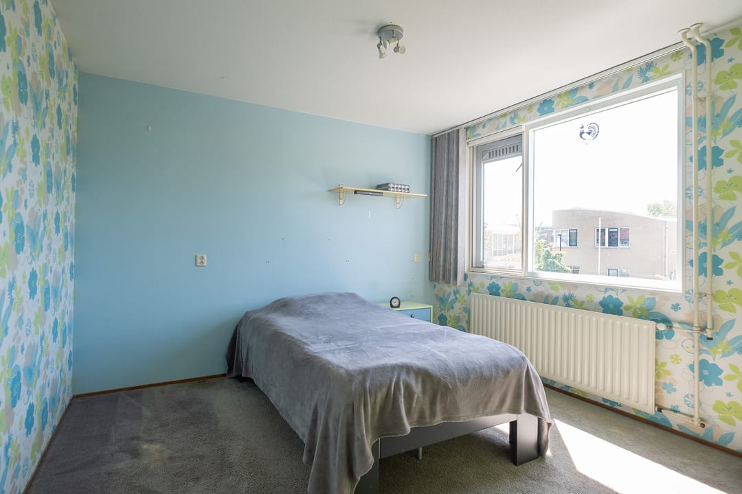 Foto 16 van Paradijsvogel 58