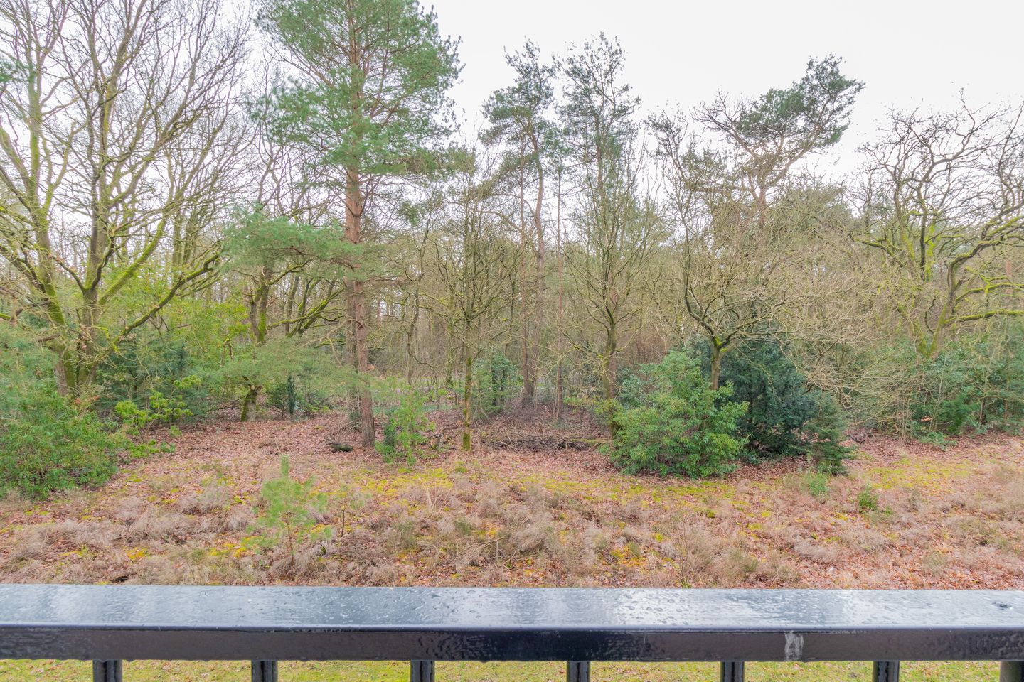 Foto 10 van Dorotheagaarde 78