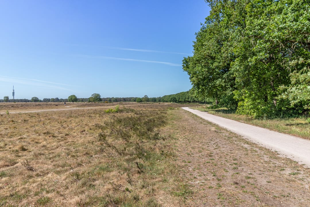 Foto 17 van Dorotheagaarde 78