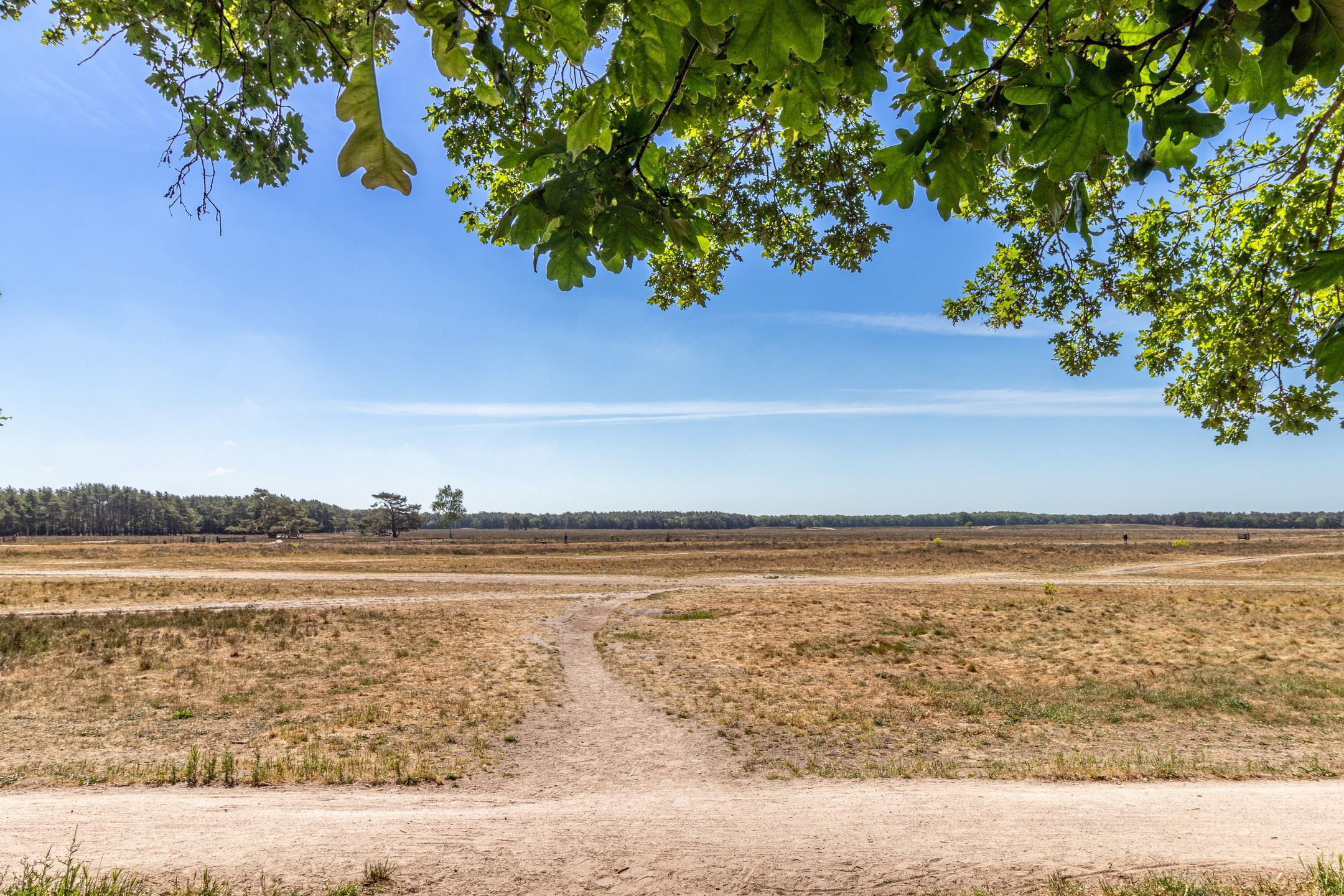 Foto 18 van Dorotheagaarde 78