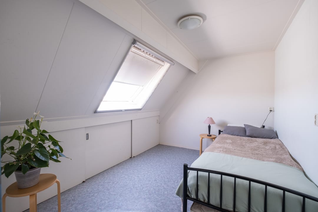 Foto 22 van Paradijsvogel 58